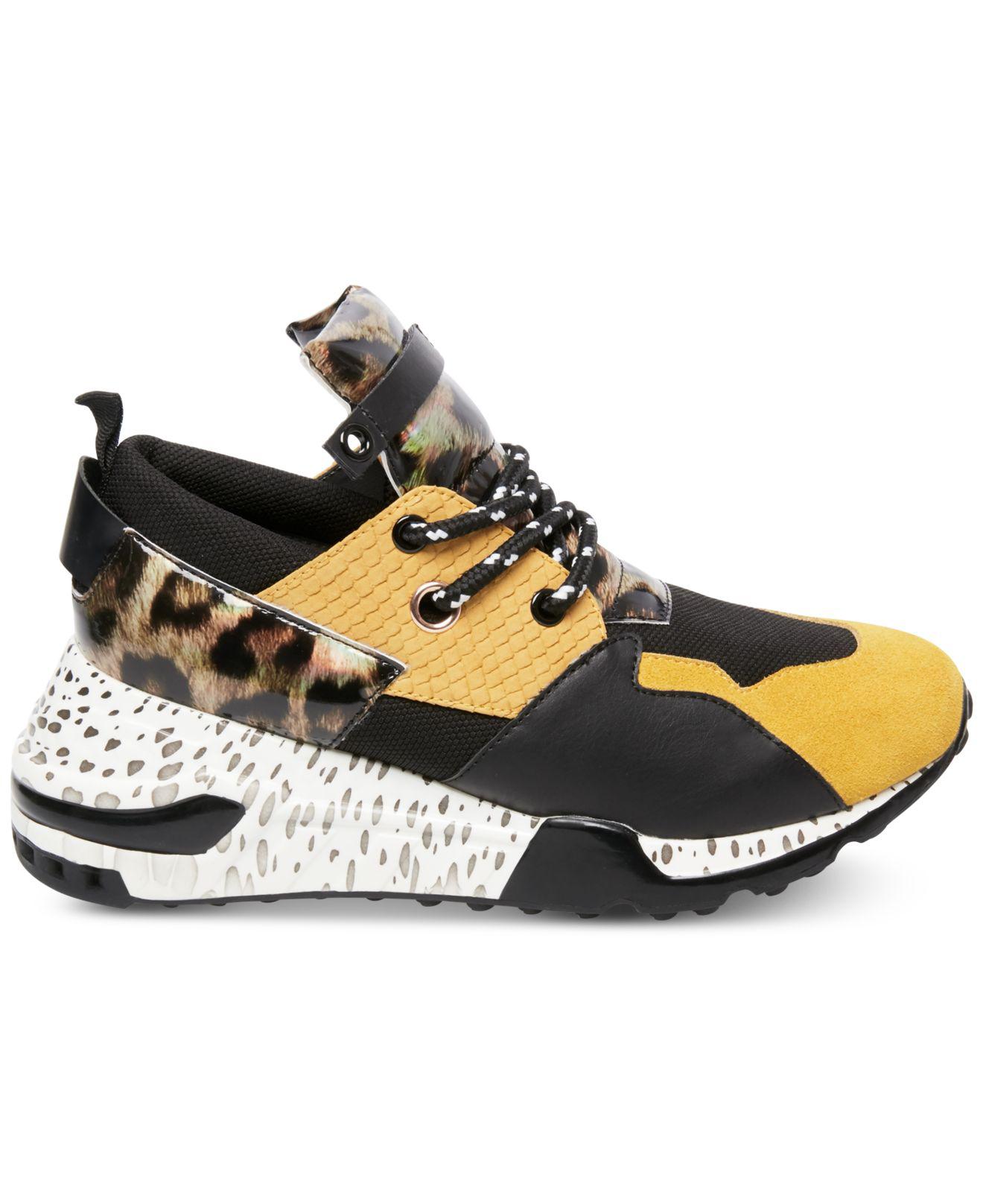macys steve madden cliff
