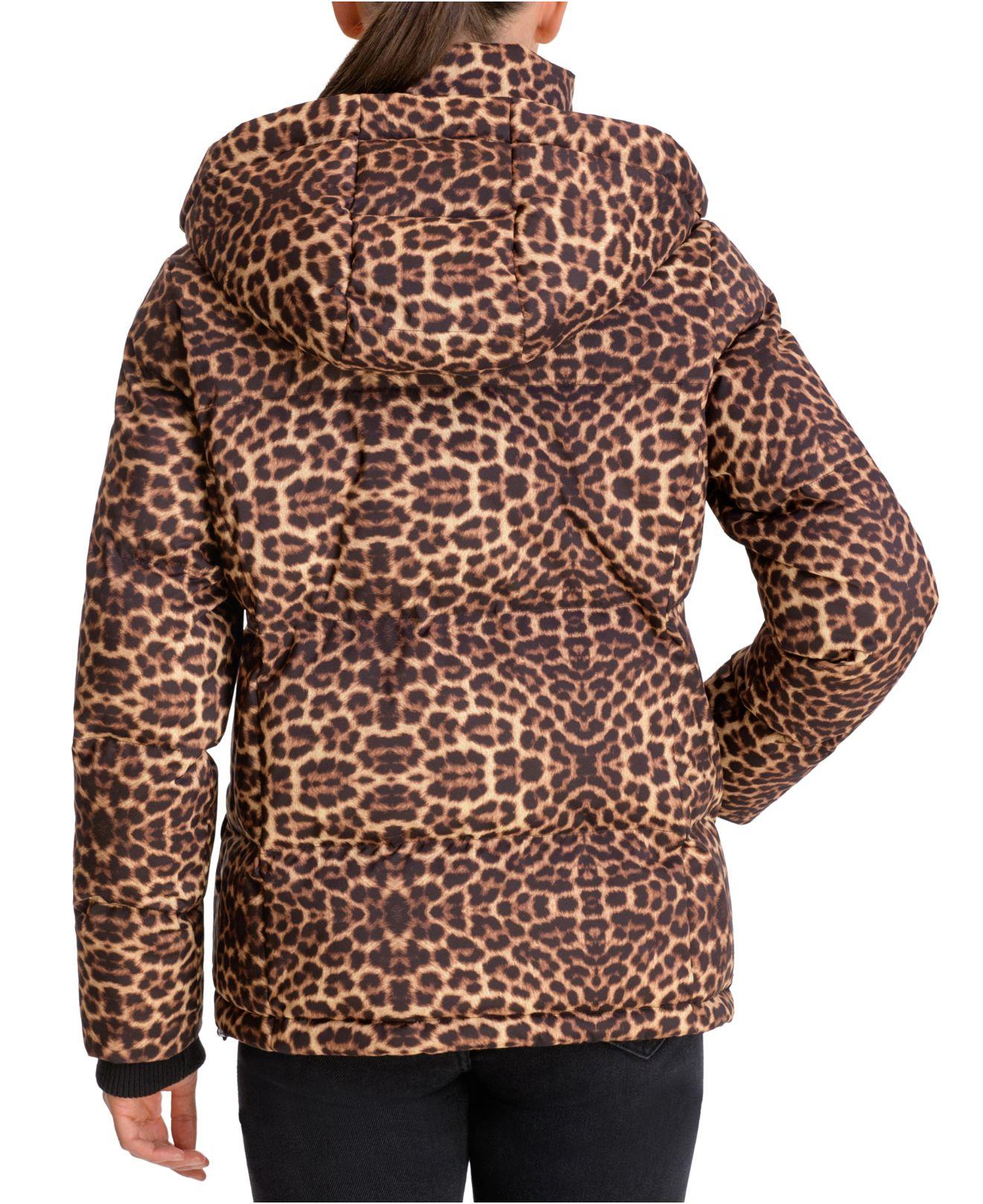 bcbg leopard coat