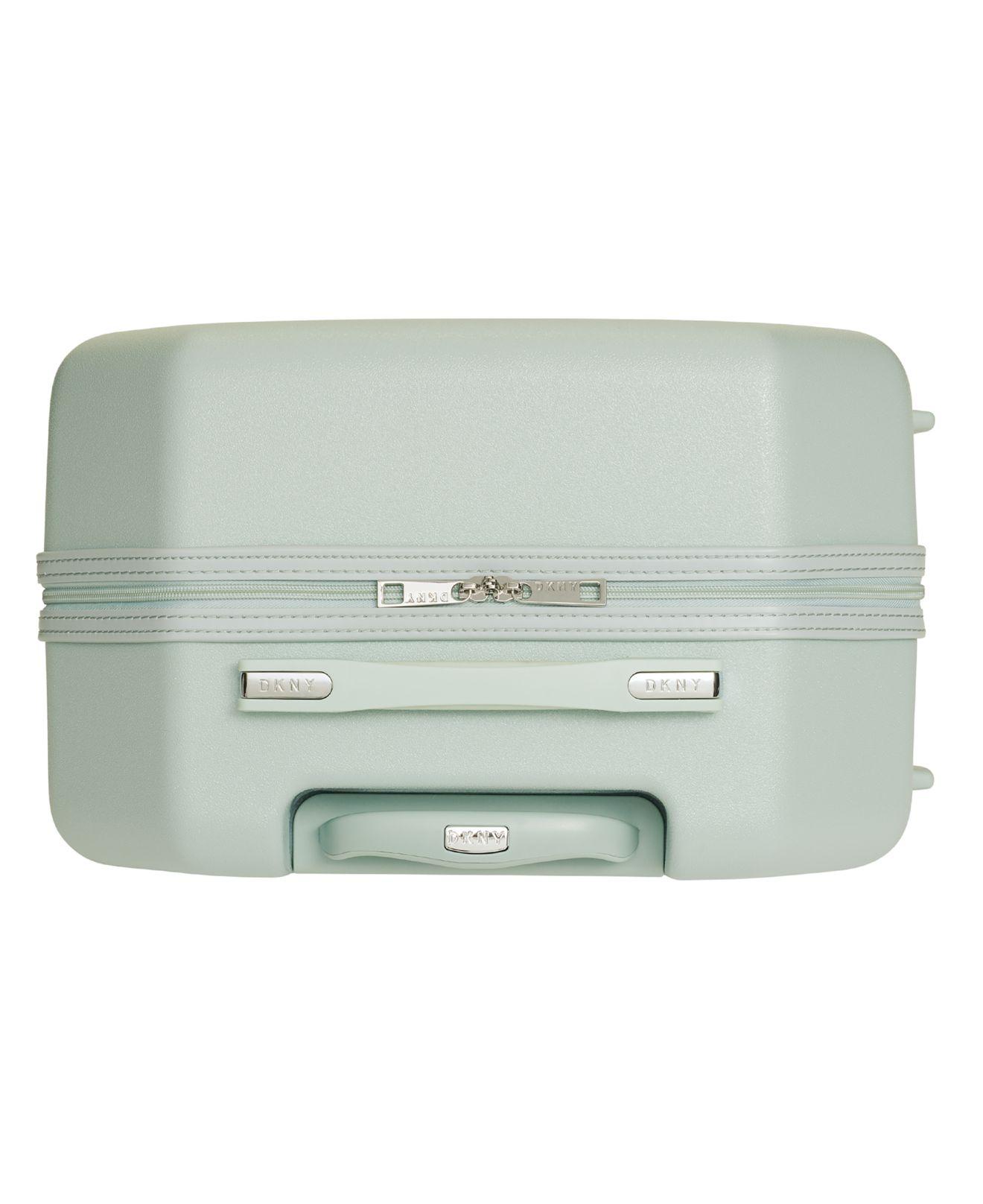 dkny pistachio luggage