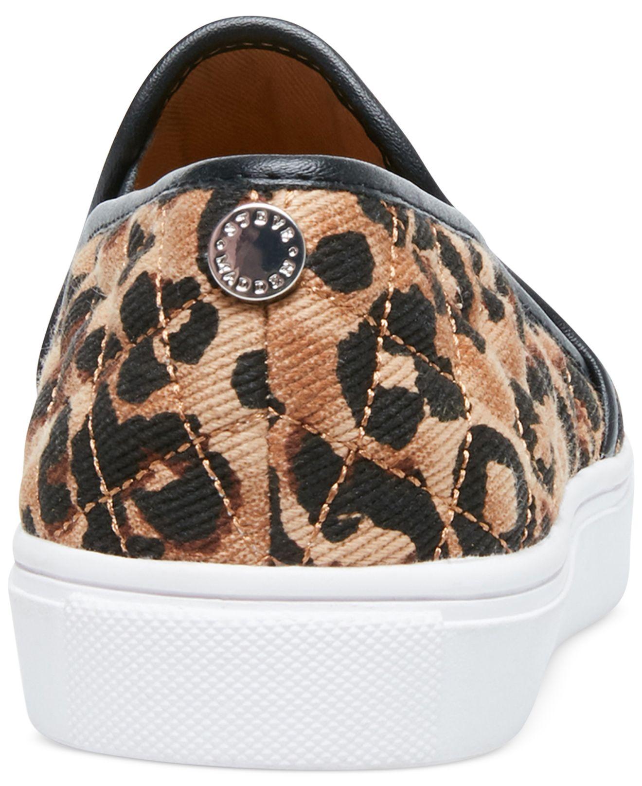steve madden ecentrcq leopard
