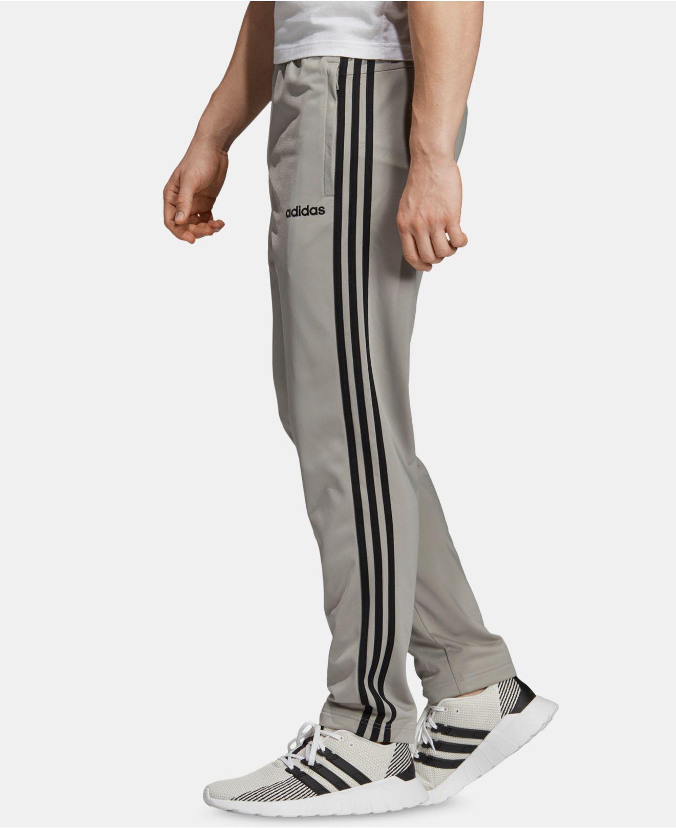 dg logo tapered track pants