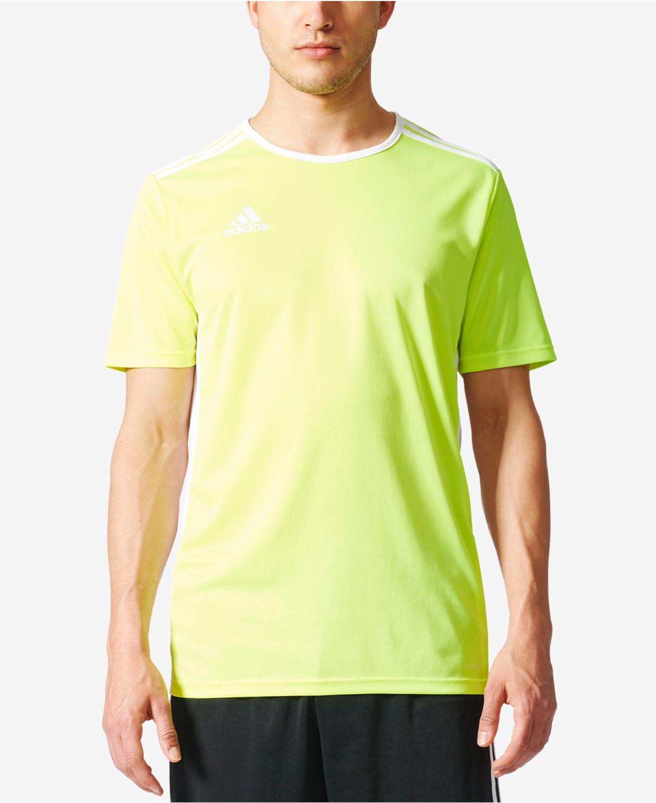 adidas predator climalite t shirt