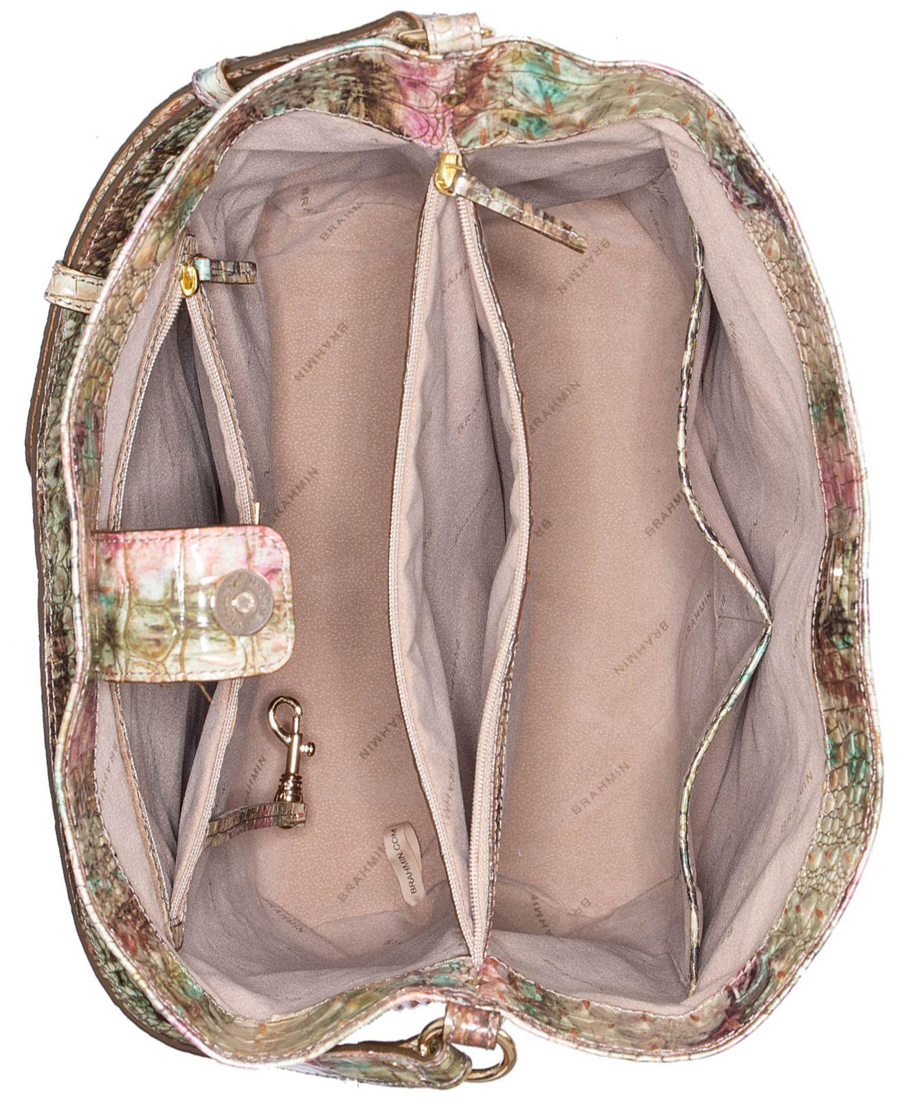 large amelia brahmin