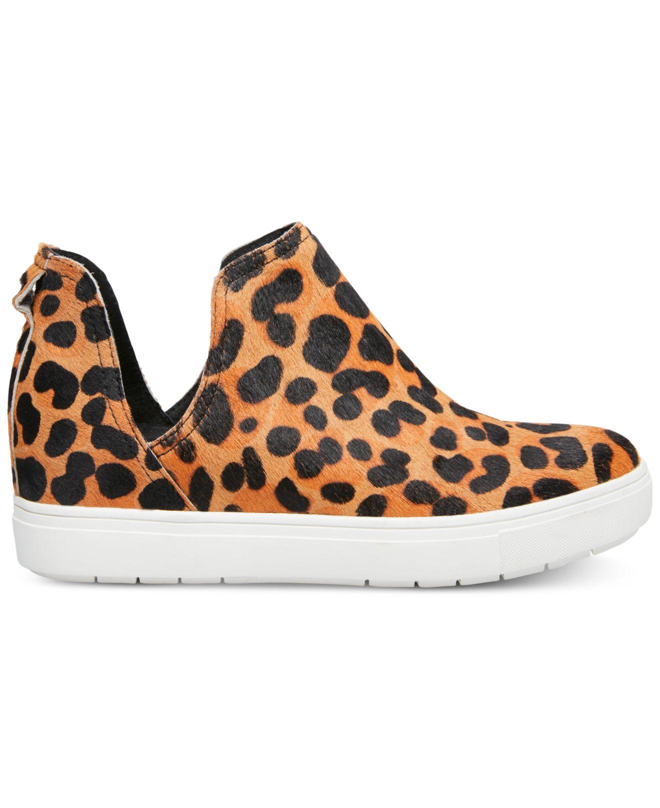 steven by steve madden caprice leopard sneakers