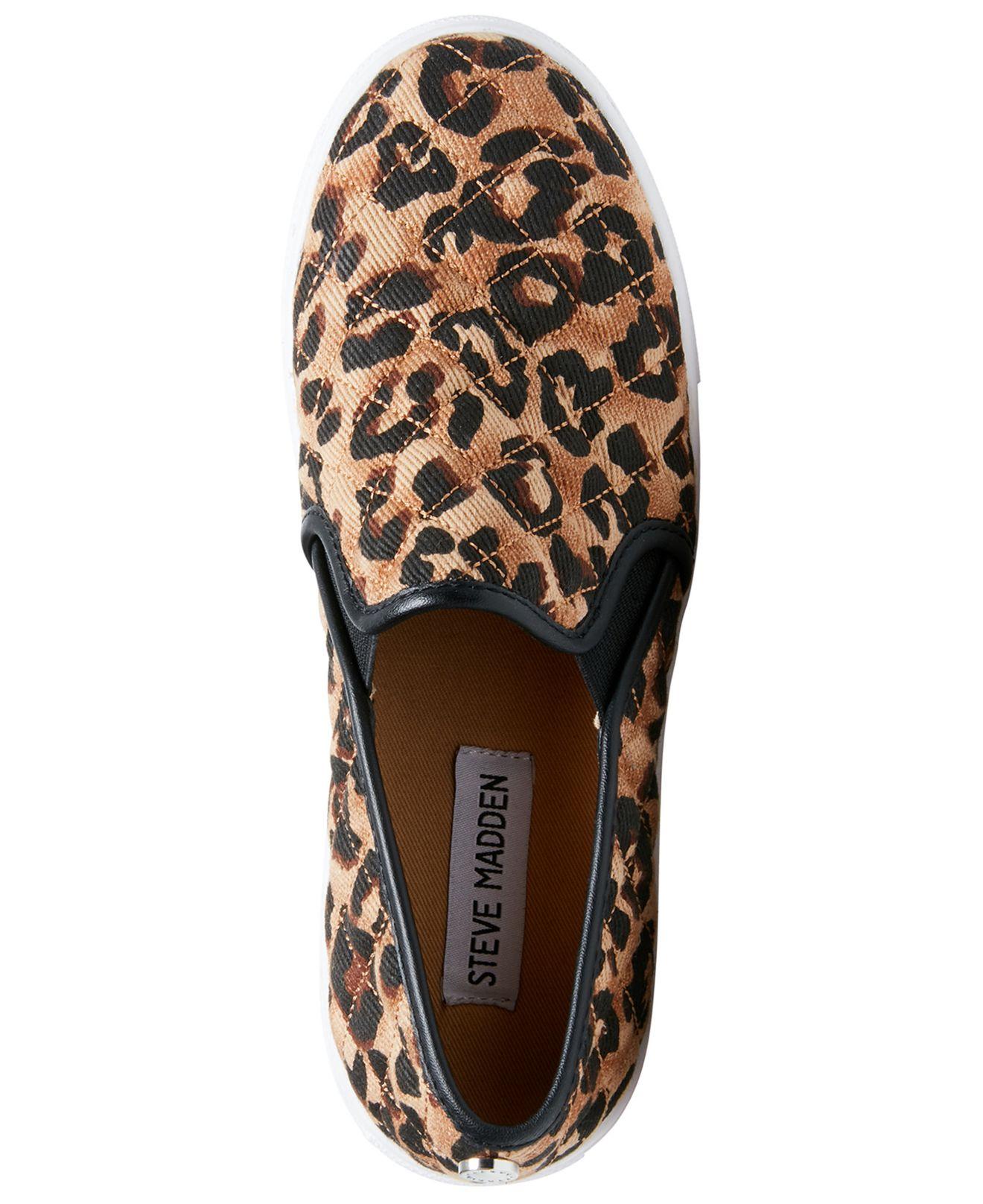 steve madden women's ecentrcq sneaker leopard