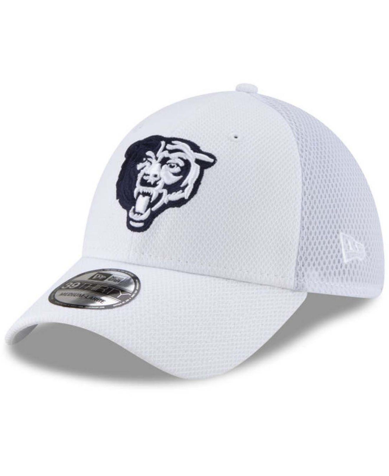 Chicago Bears Logo Elements 