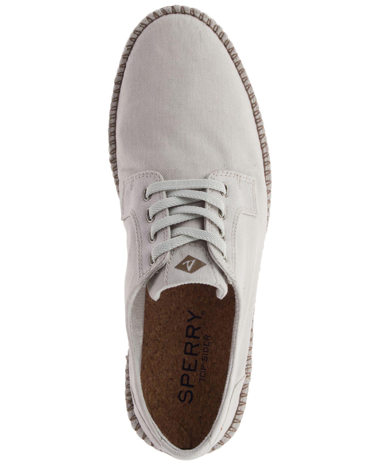 sperry camden oxford canvas