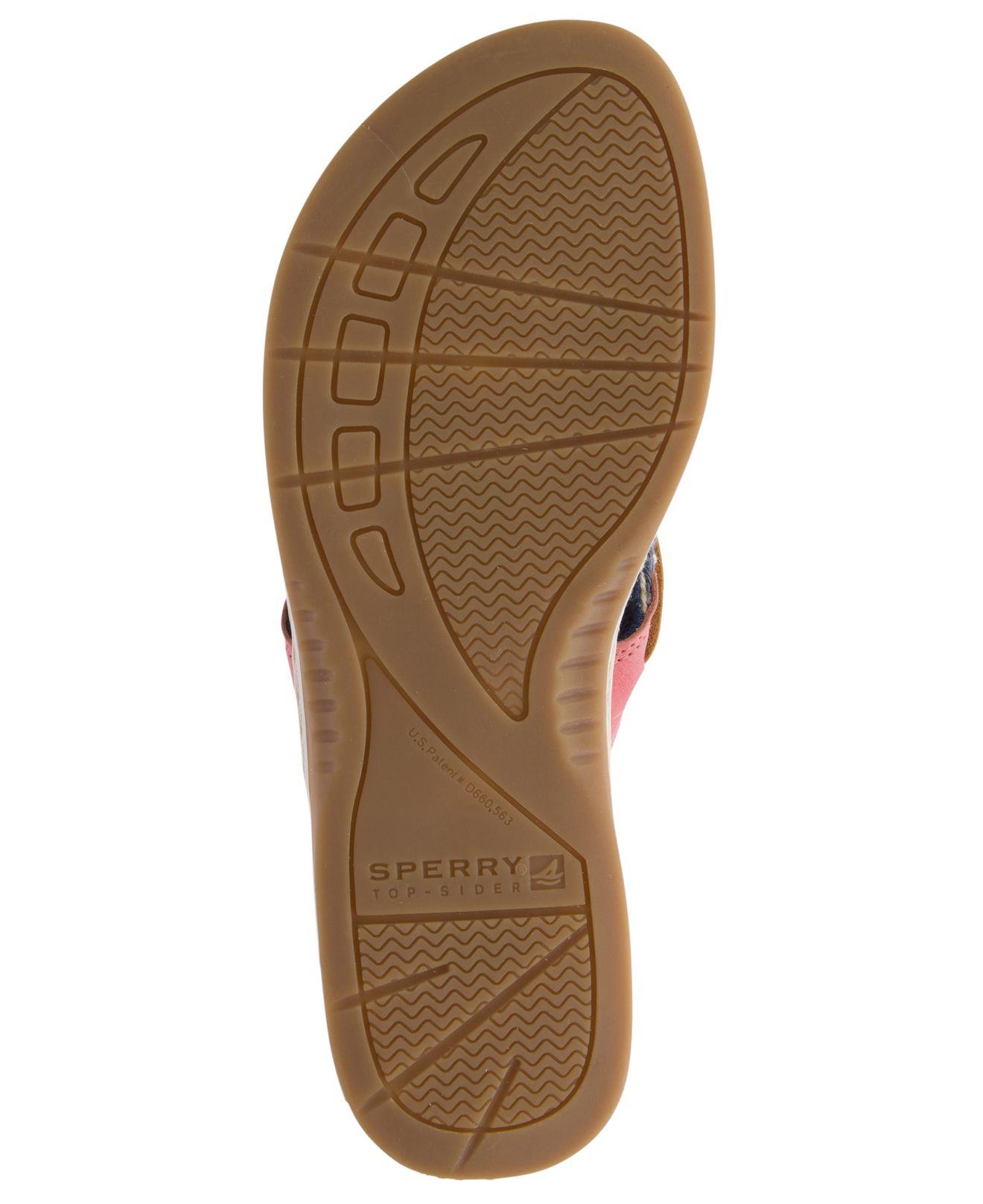Sperry parrotfish flip best sale flops