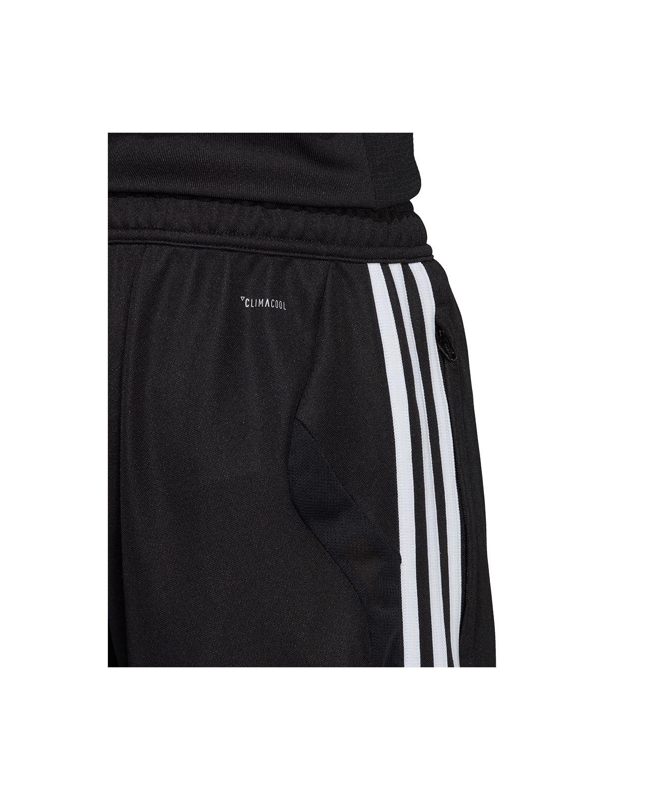 adidas pants climacool