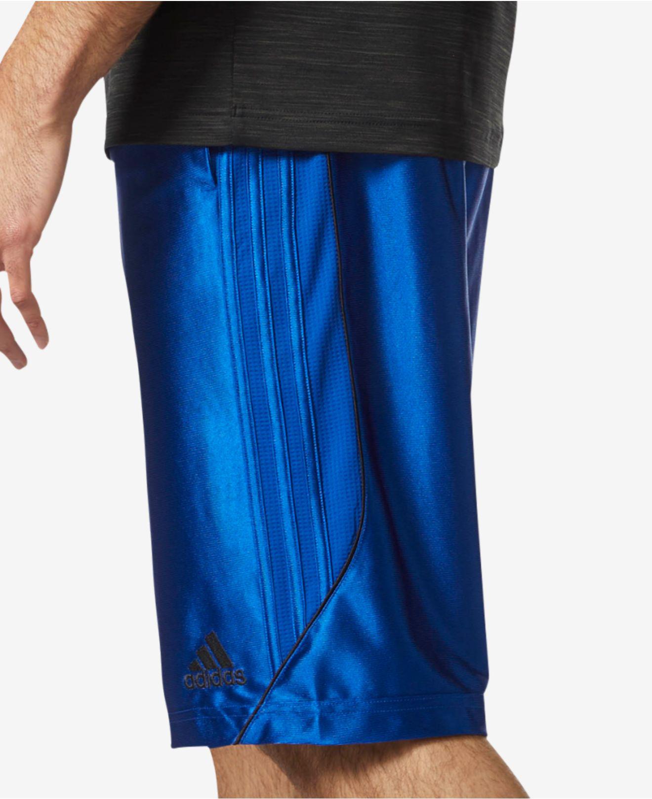 adidas Men's Dazzle Climalite® Basketball Shorts in Blue for Men | Lyst