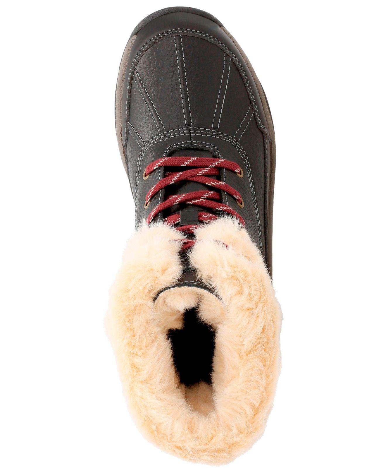 clarks mazlyn arctic