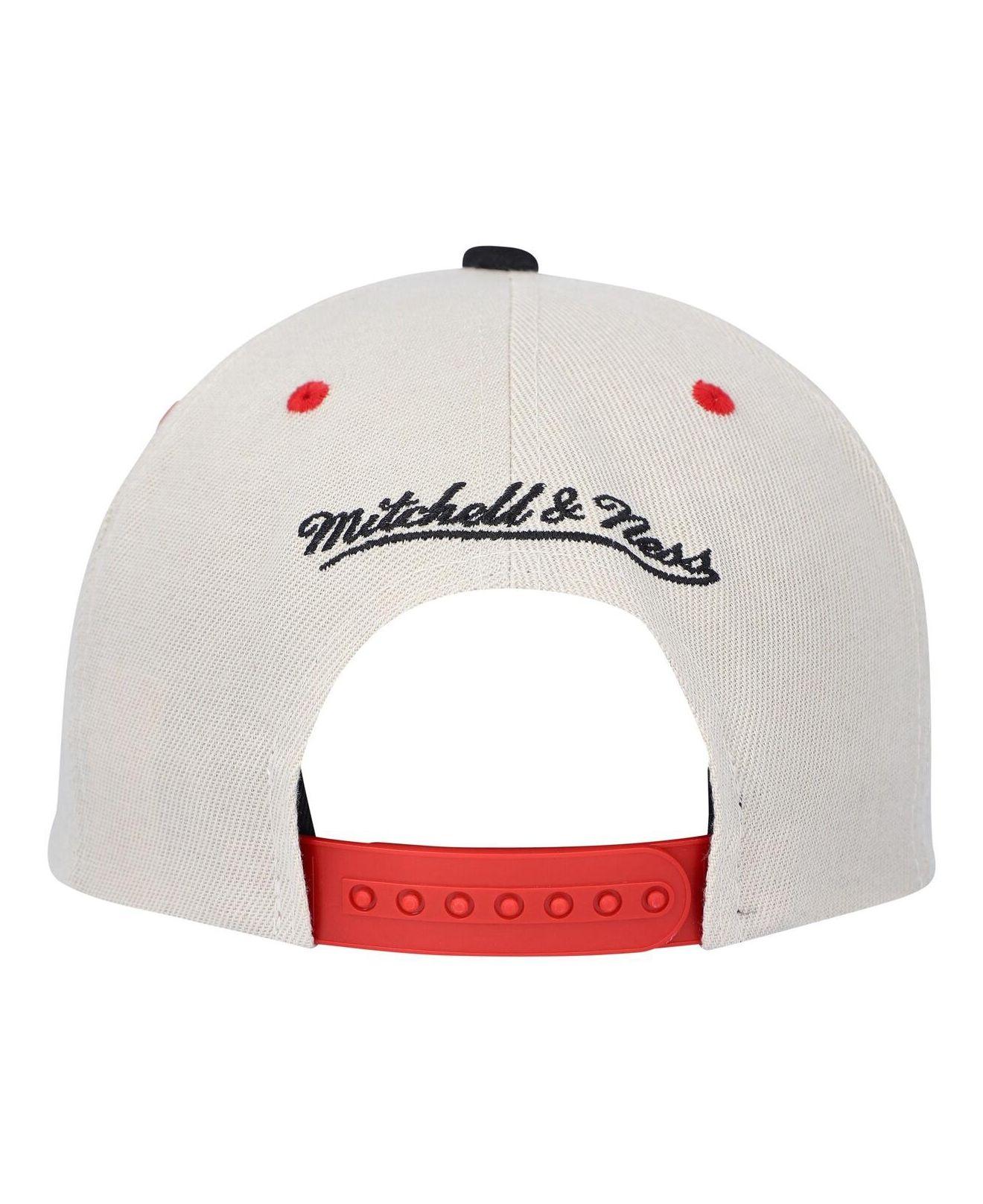 Dallas Mavericks Mitchell & Ness Hardwood Classics Pure Platinum Snapback  Hat - White