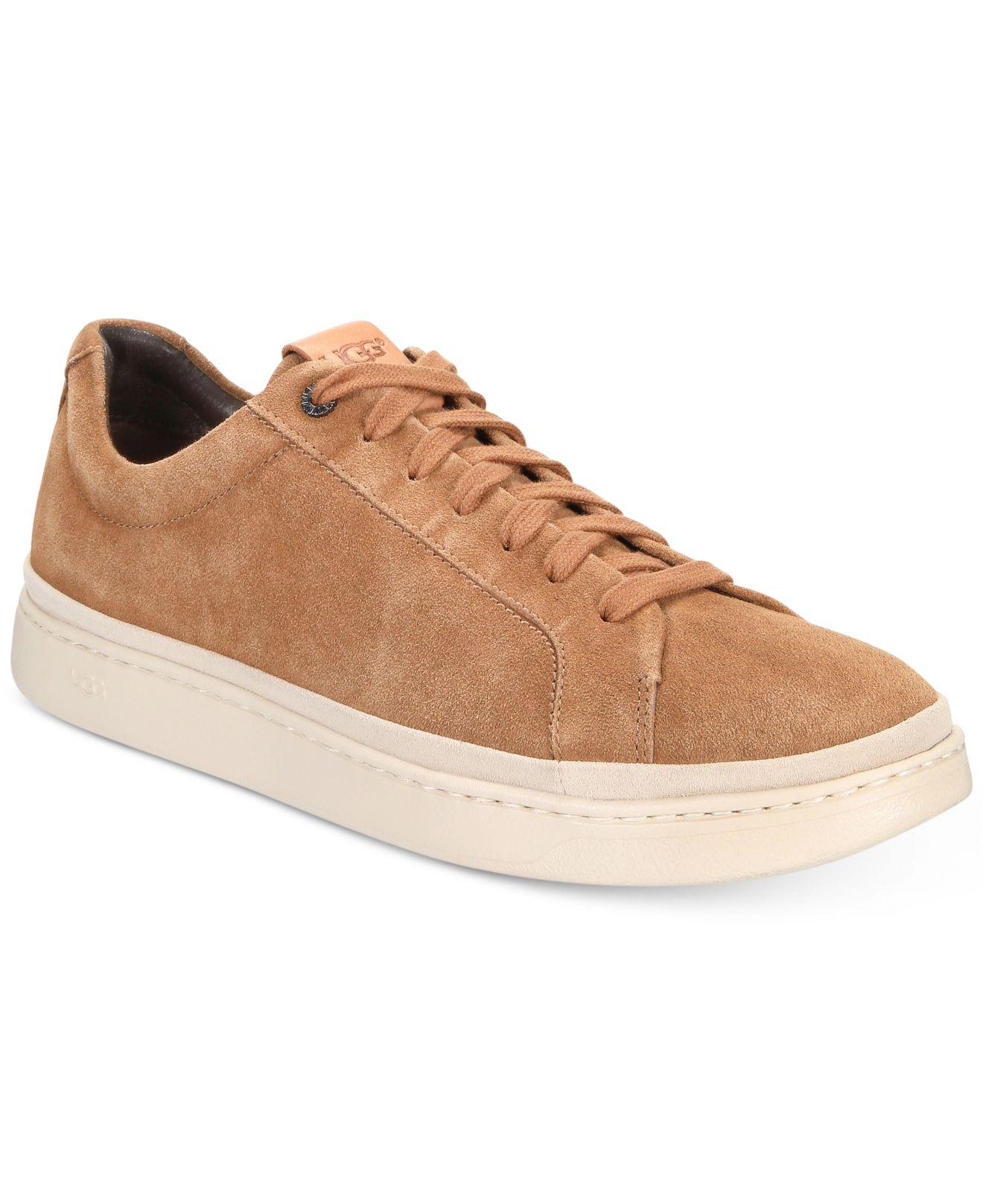 ugg cahlvan sneaker