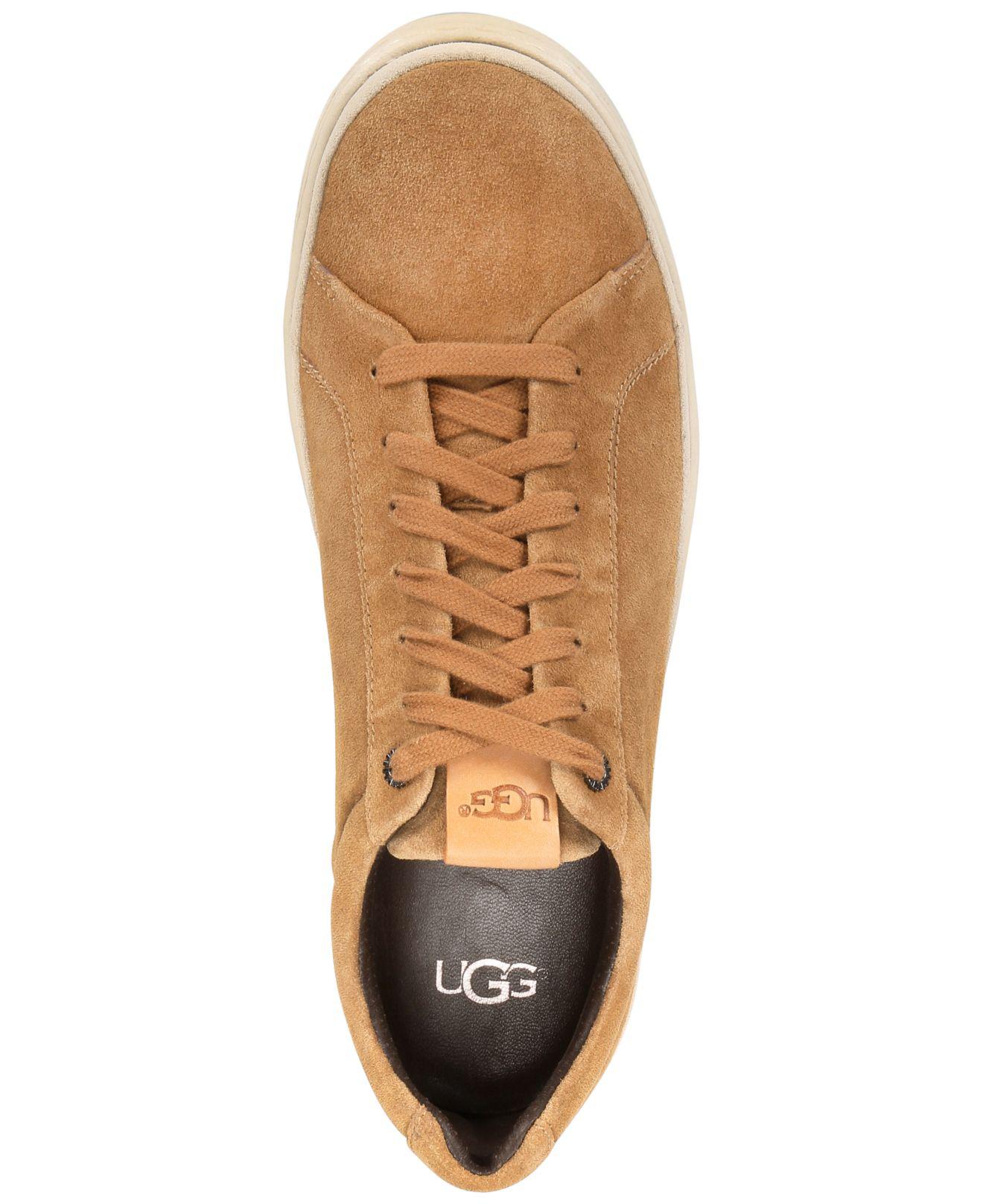 ugg cali trainer low