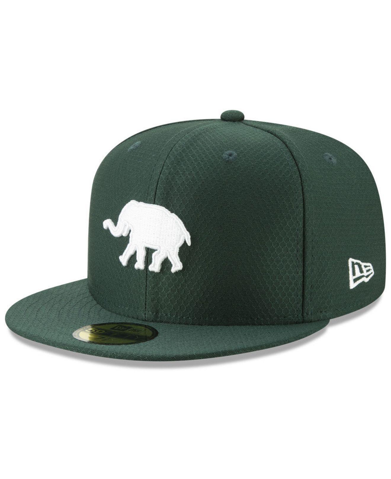 a's elephant hat