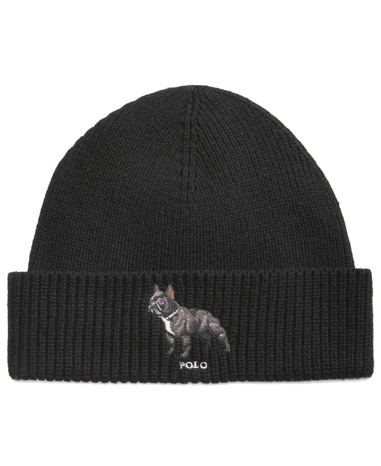 polo dog hat