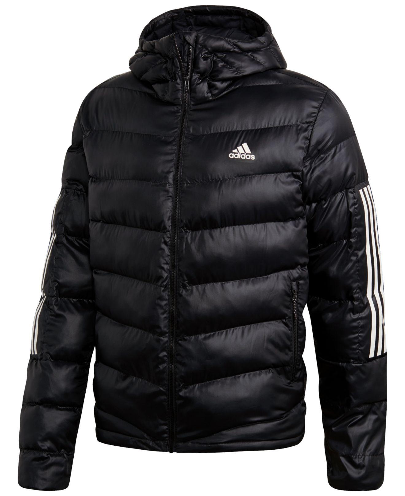 adidas men's insulated hooded puffer jacket