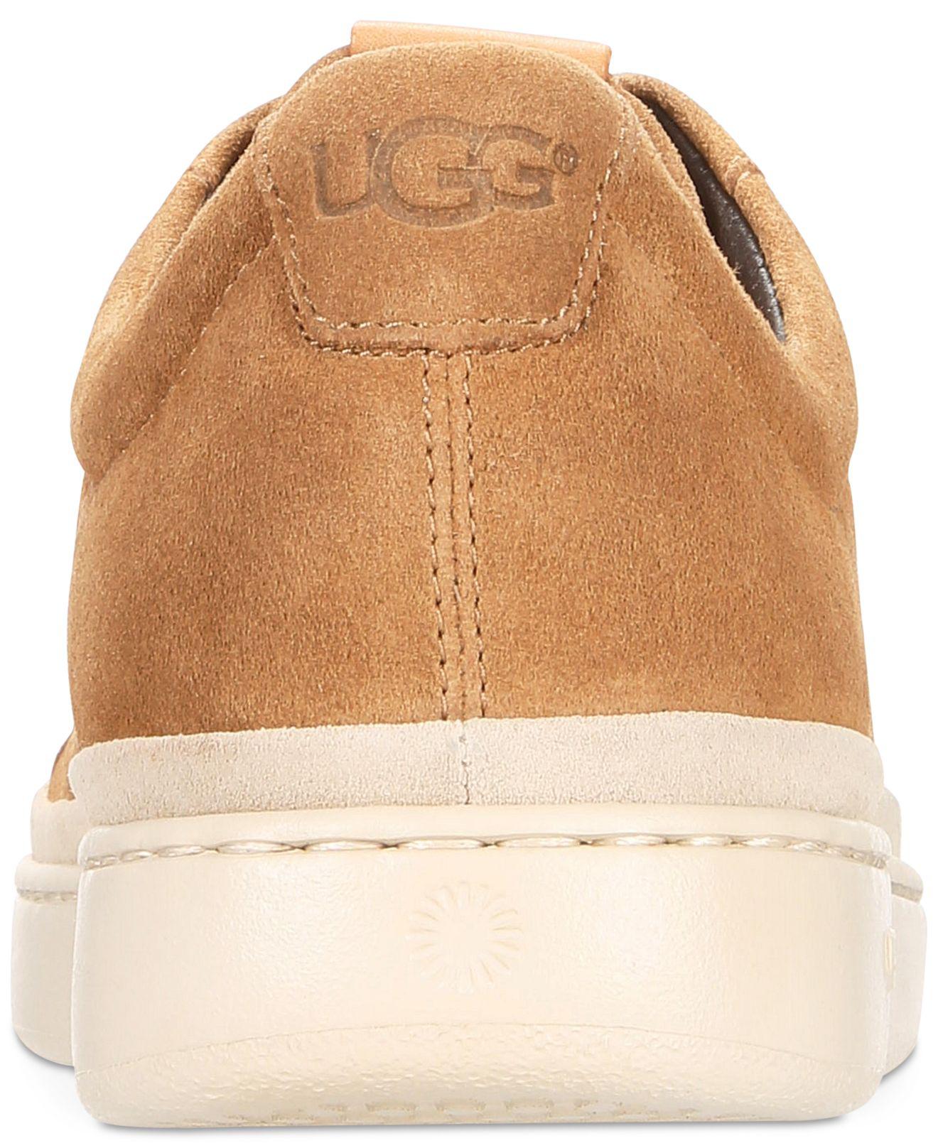 ugg cali trainer low