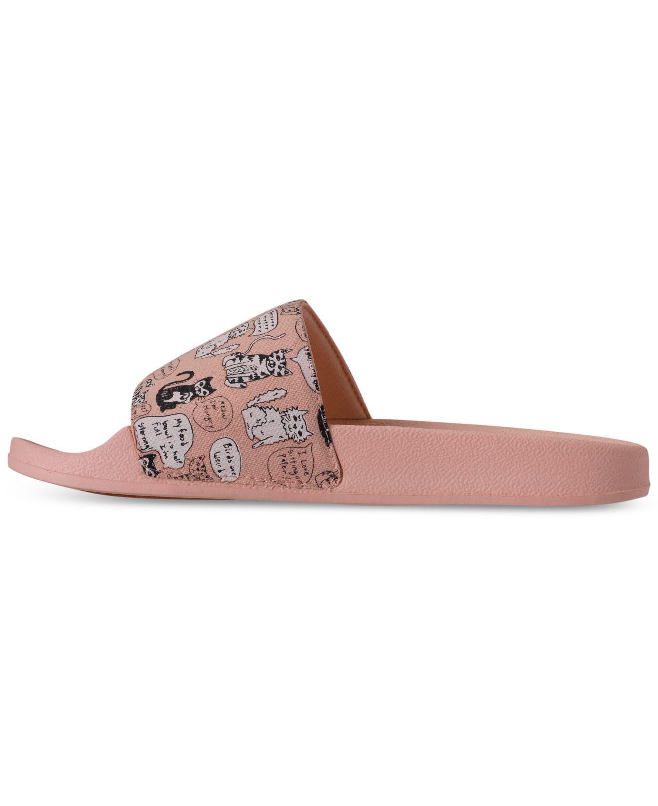 bobs for dogs slides