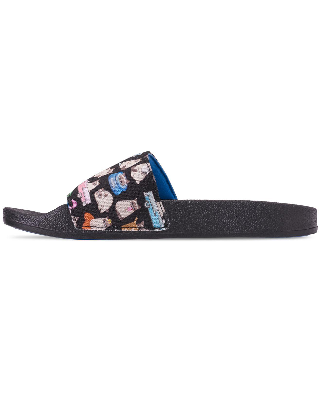 Skechers Rubber Bobs Pop Ups - Blah-cation Bobs For Dogs And Cats Slide ...