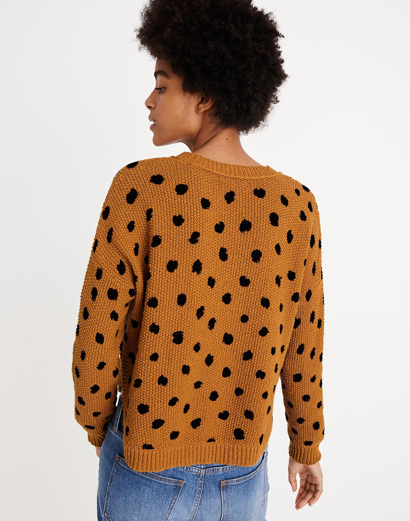 hillview cardigan sweater in painted spots