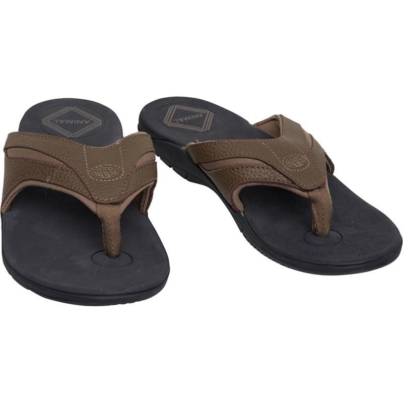 animal fader flip flops brown