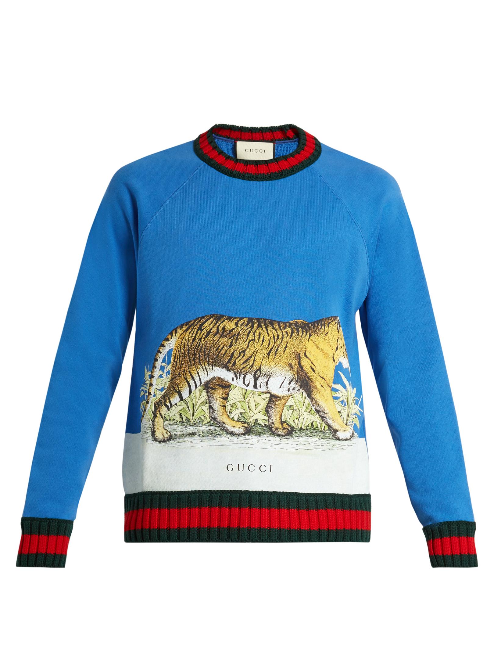 Gucci Walking Tiger-print Cotton Sweatshirt in Blue for Men | Lyst