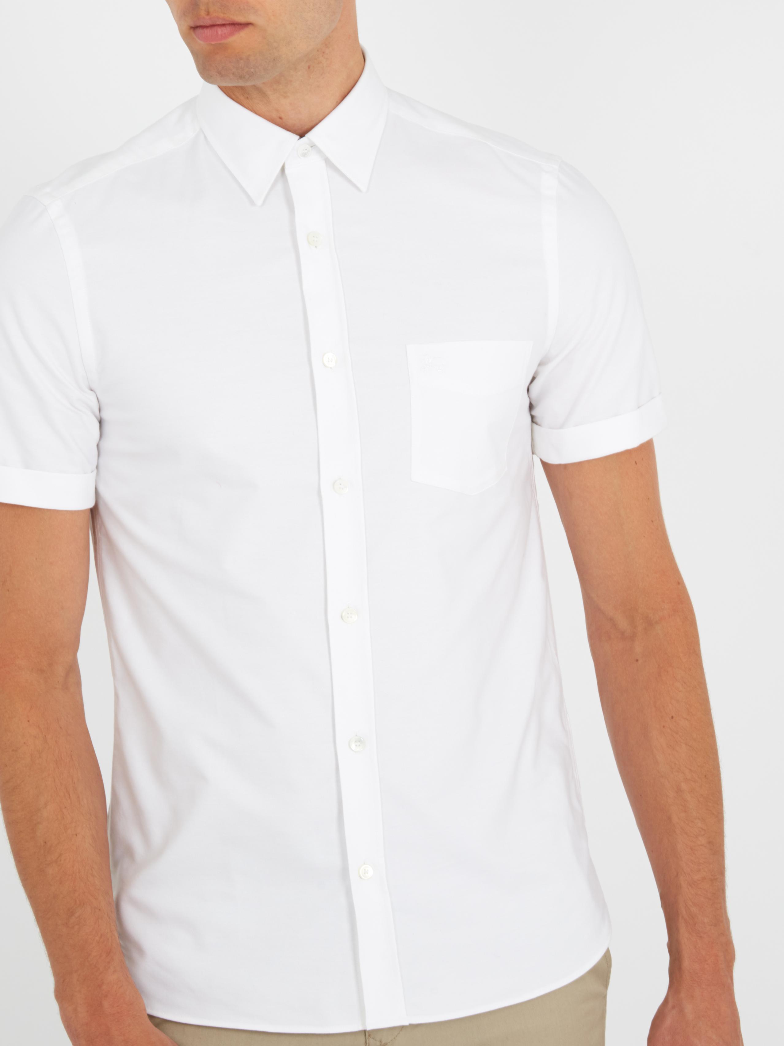 burberry plain white shirt