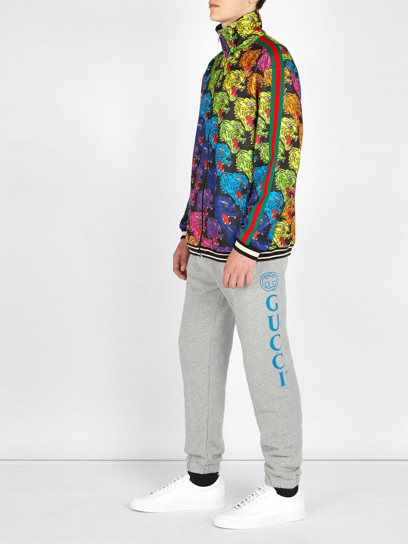 Gucci Tiger Tracksuit U.K., SAVE 35% - horiconphoenix.com