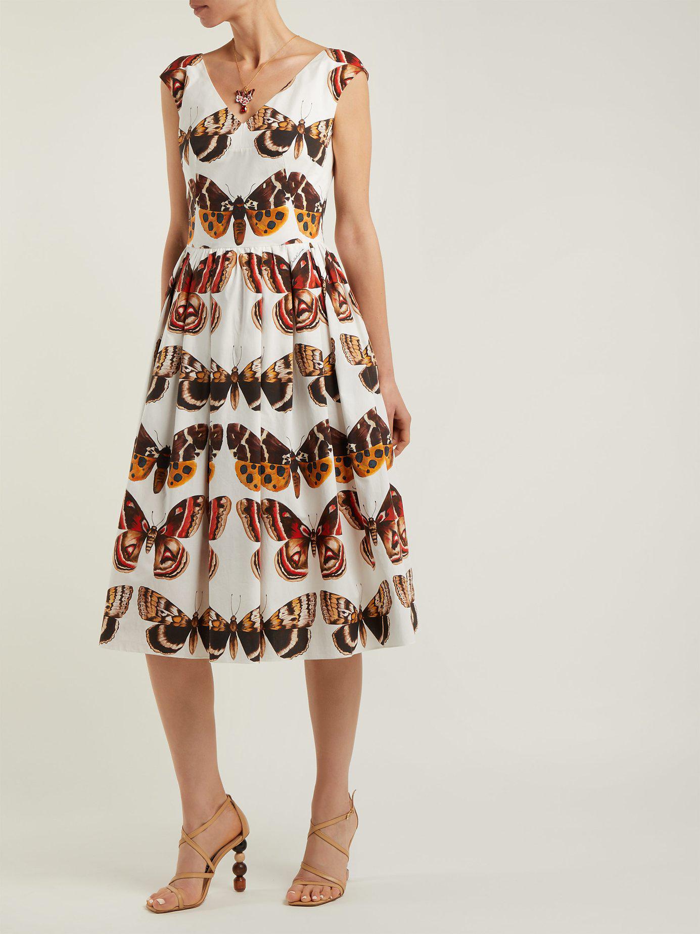 dolce and gabbana butterfly dress