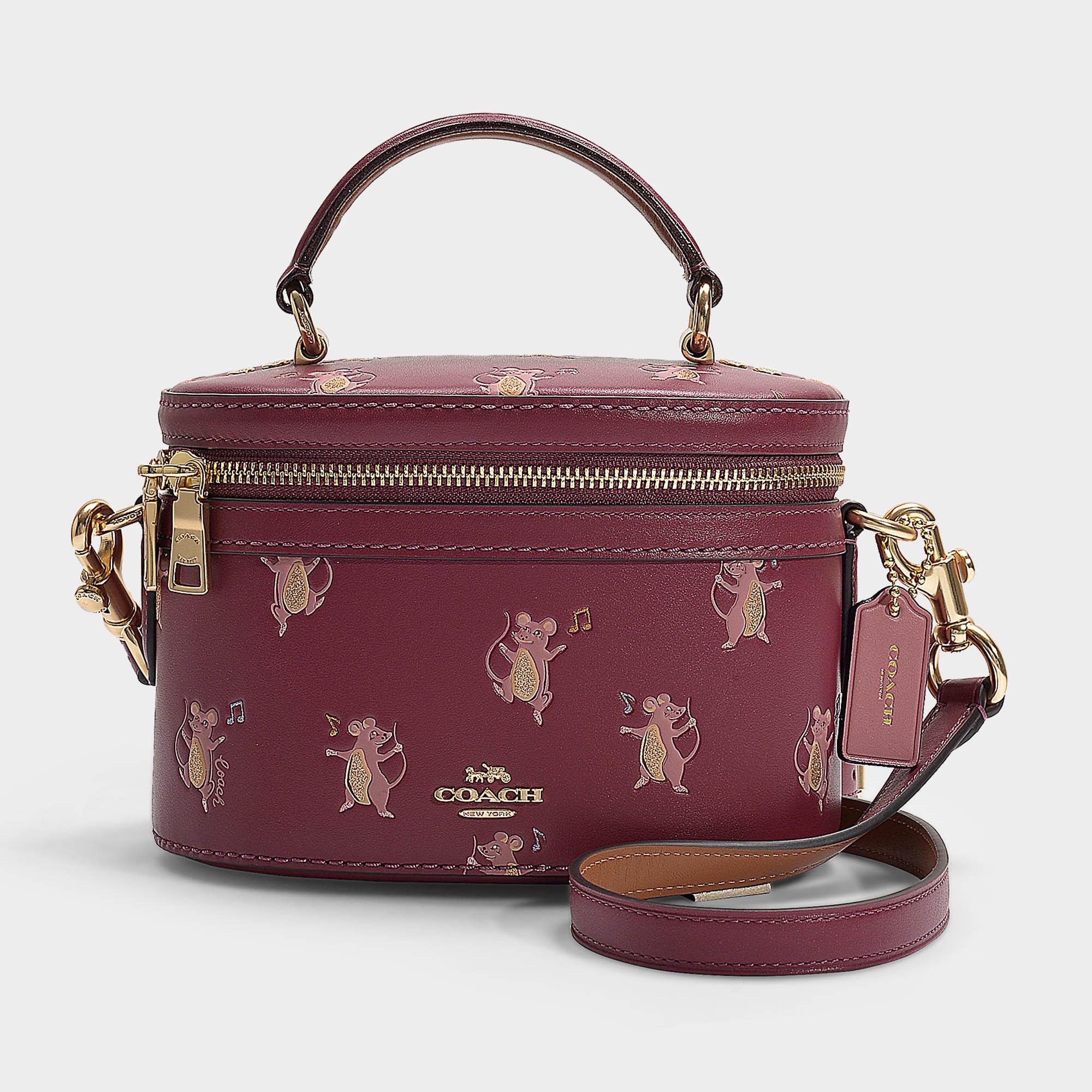 coach mouse bag