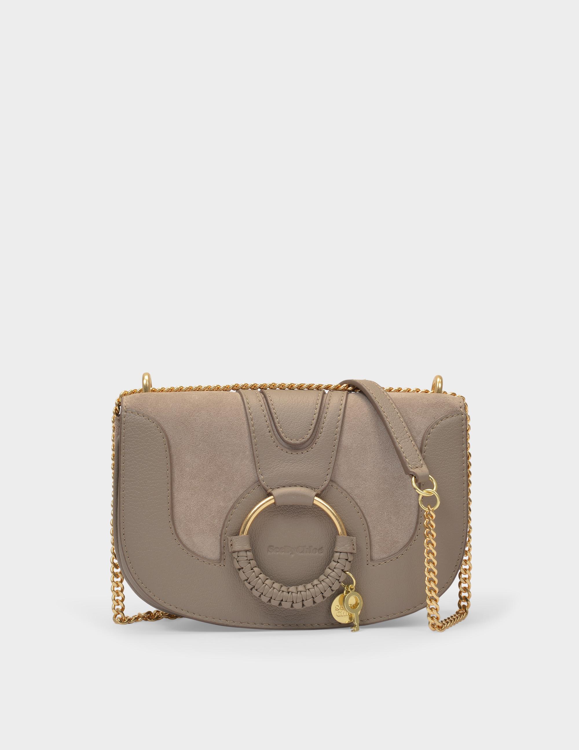 国内配送 クロエ See By Chloe レディース バッグ Mini Hana Leather Bag Motty Grey 受賞店舗 Plasticsinfomart Com