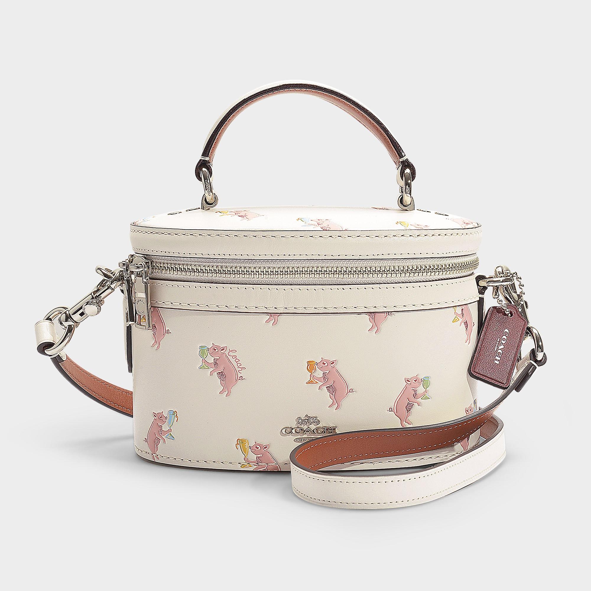 coach pig bag
