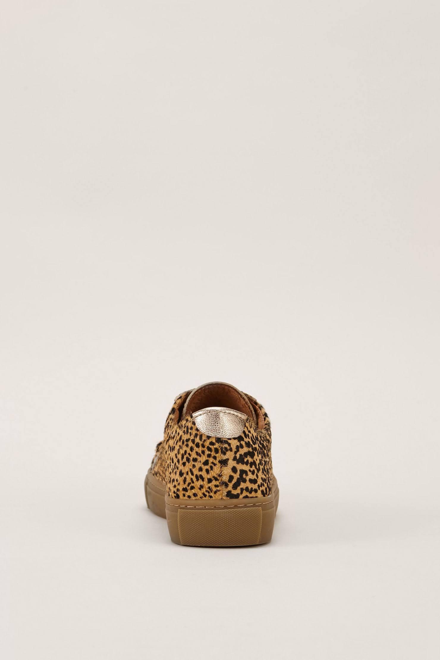 bensimon trainers