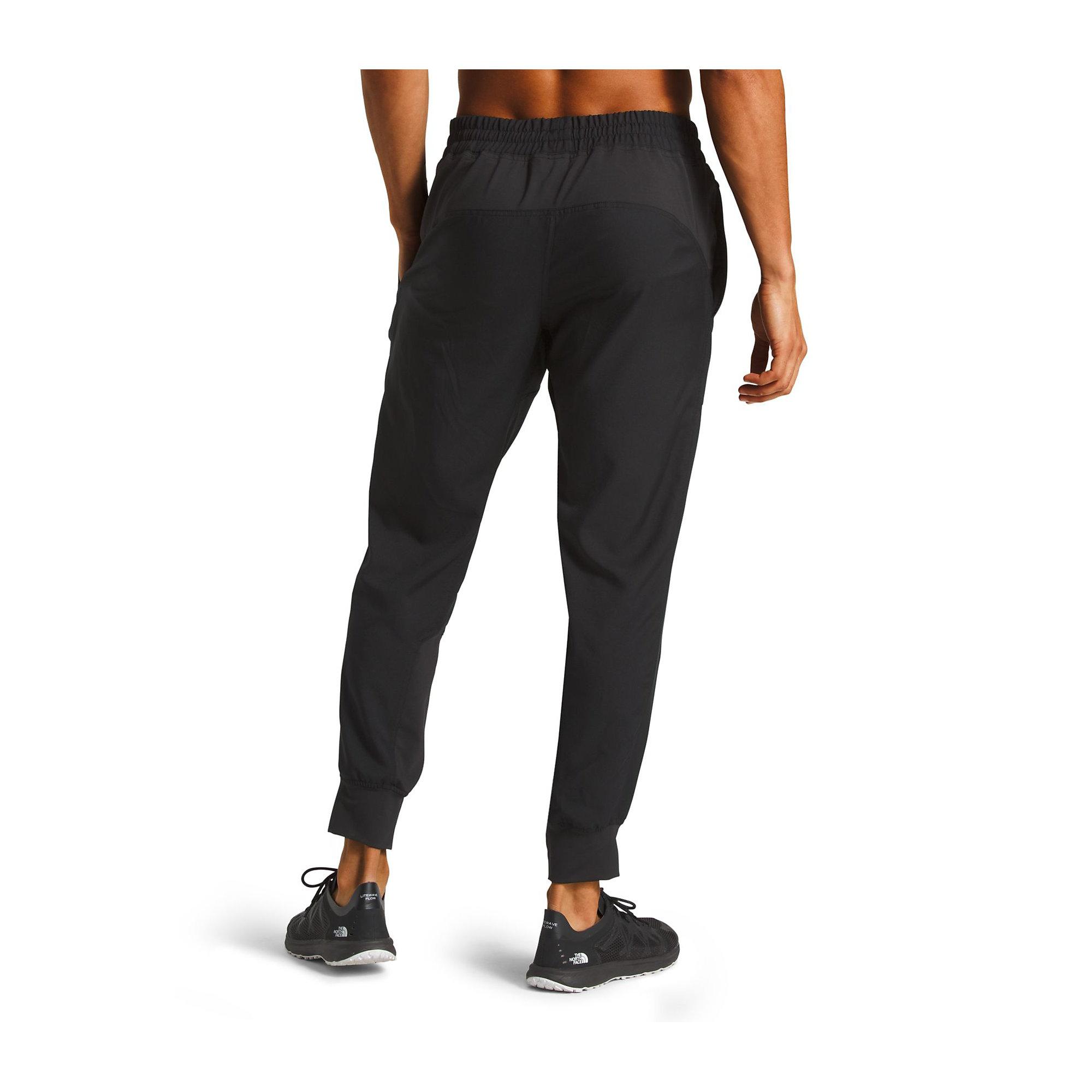 the north face ambition pants