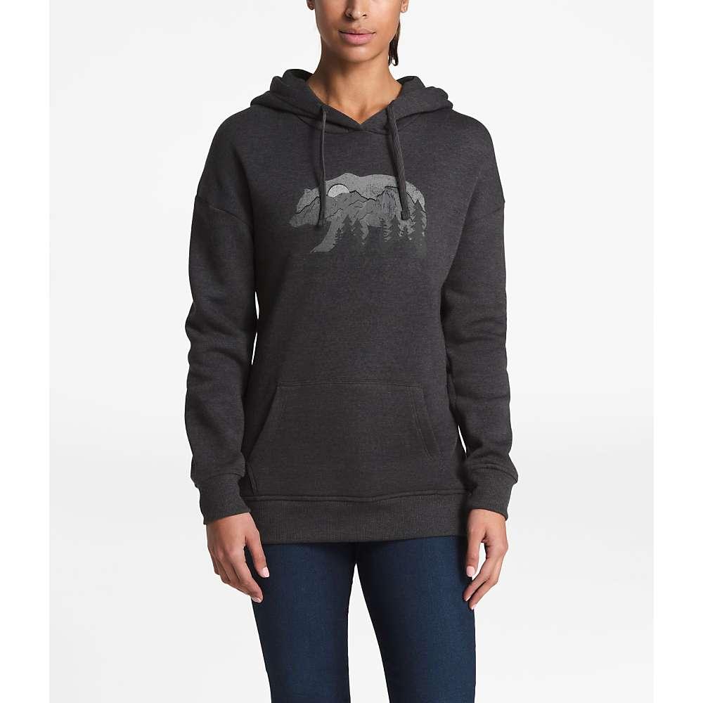 the north face bearscape hoodie