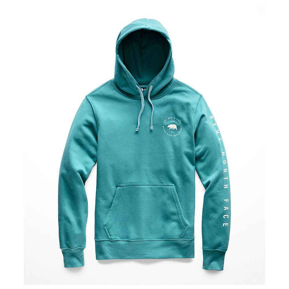 the north face bearscape hoodie