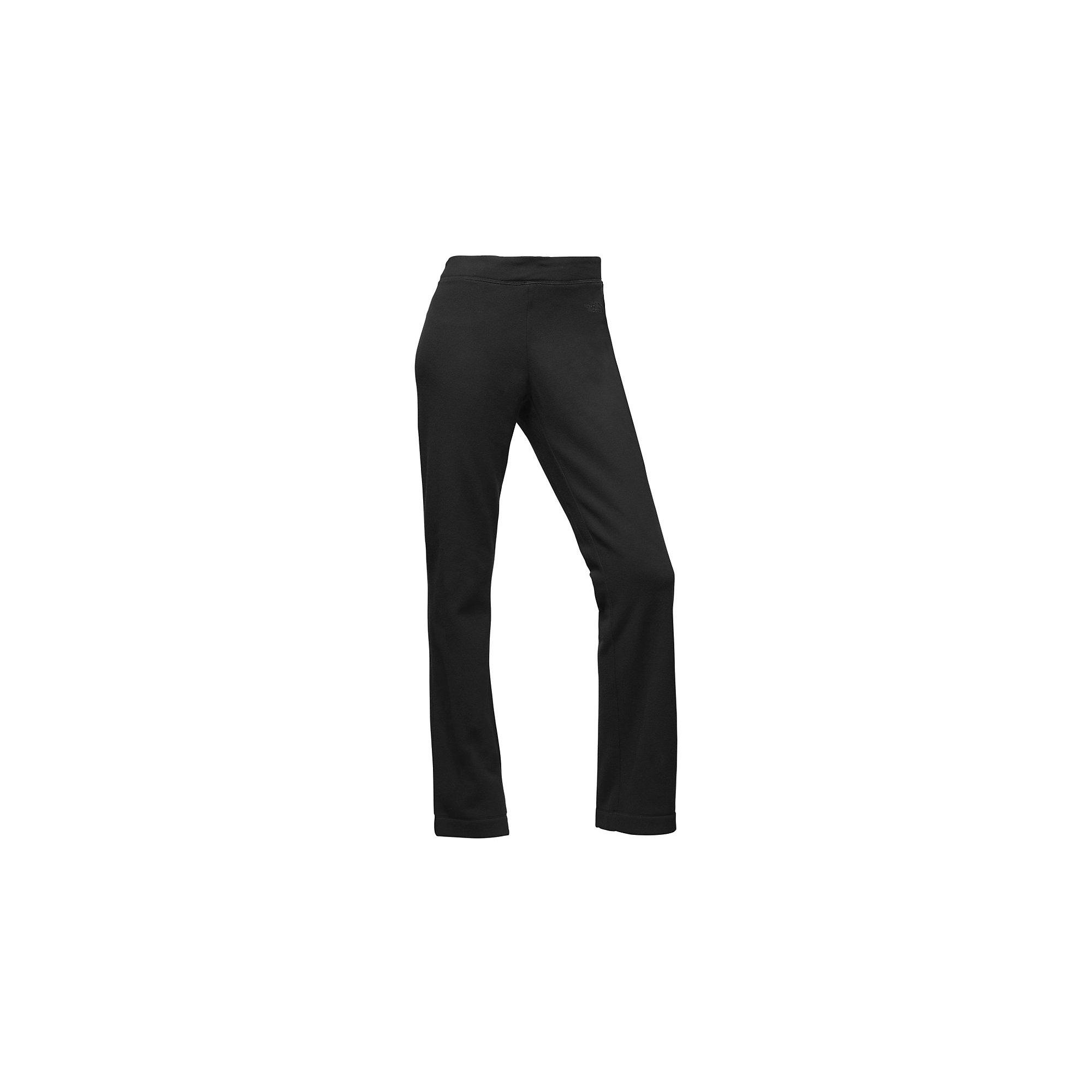 the north face glacier pant