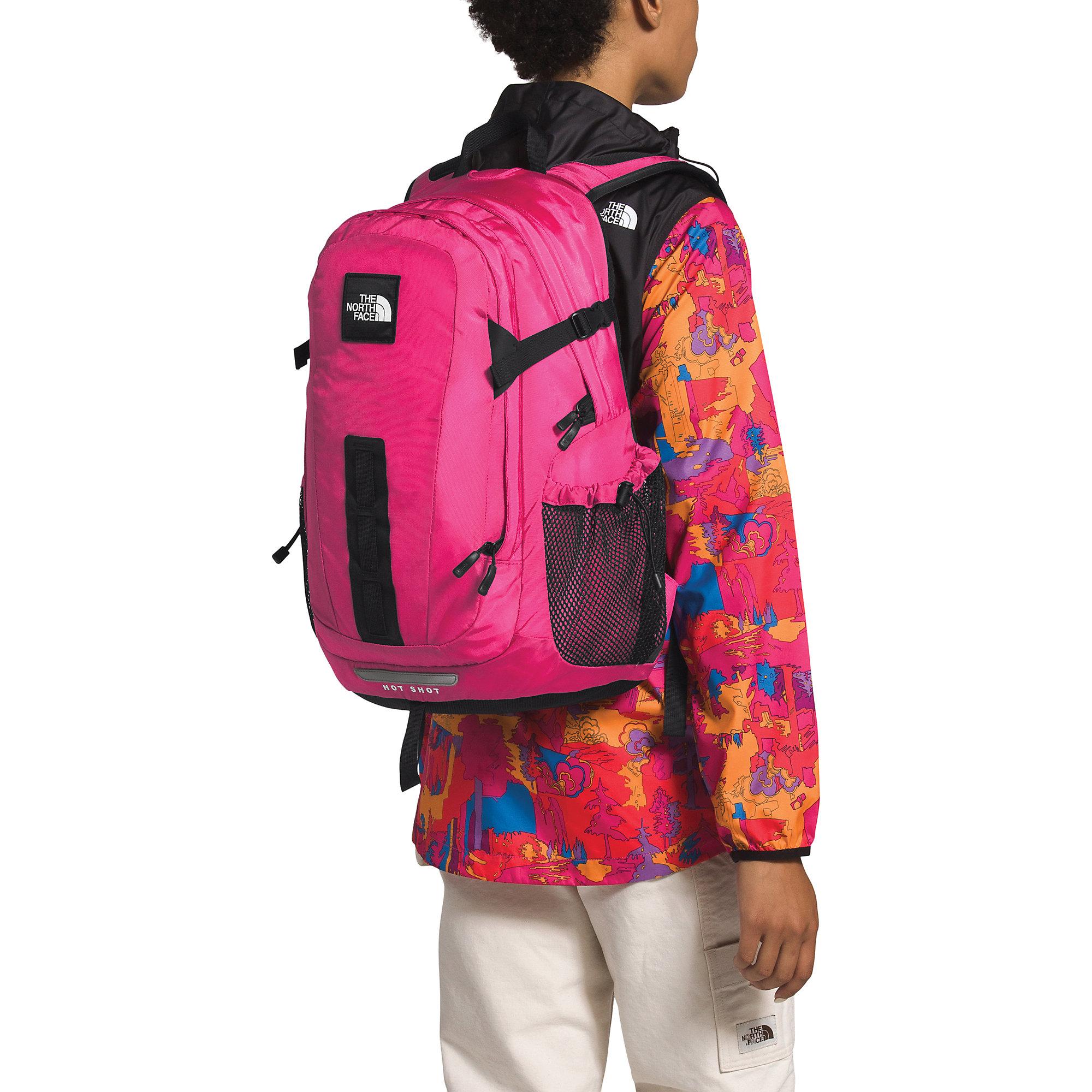 black and pink north face backpack