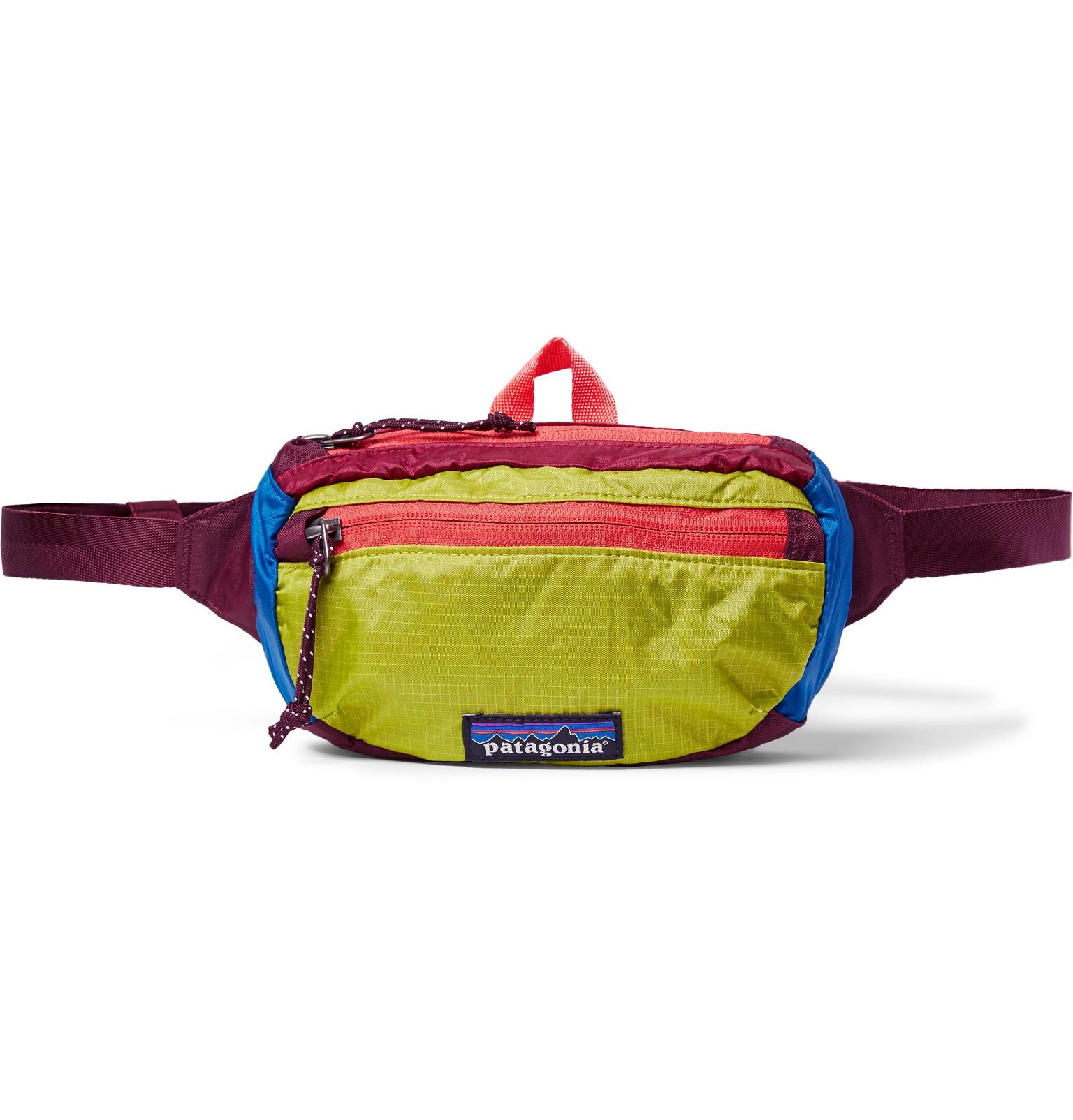 Patagonia Travel Mini 1l Colour-block Nylon-ripstop Belt Bag for Men | Lyst