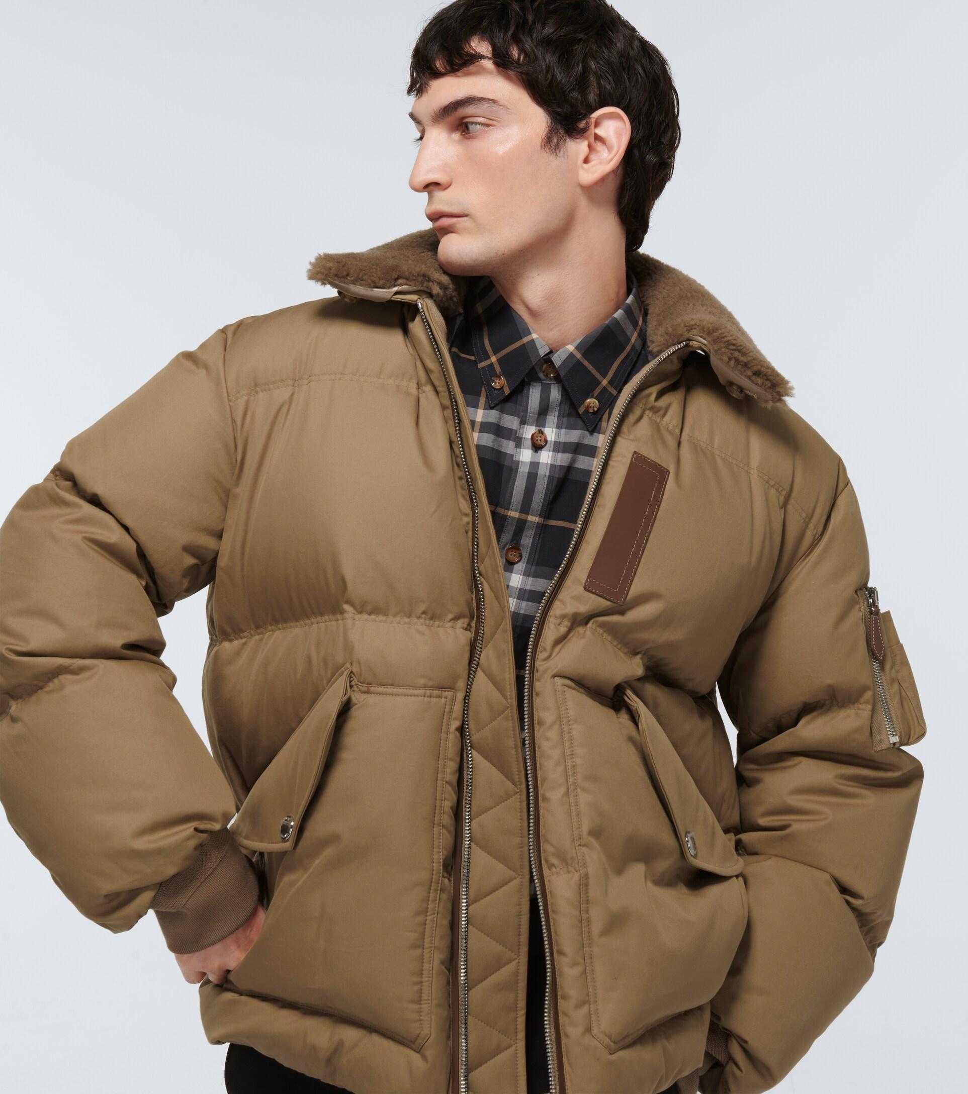 Burberry Cotton Stanley Down-filled Bomber Jacket in Brown for Men | Lyst