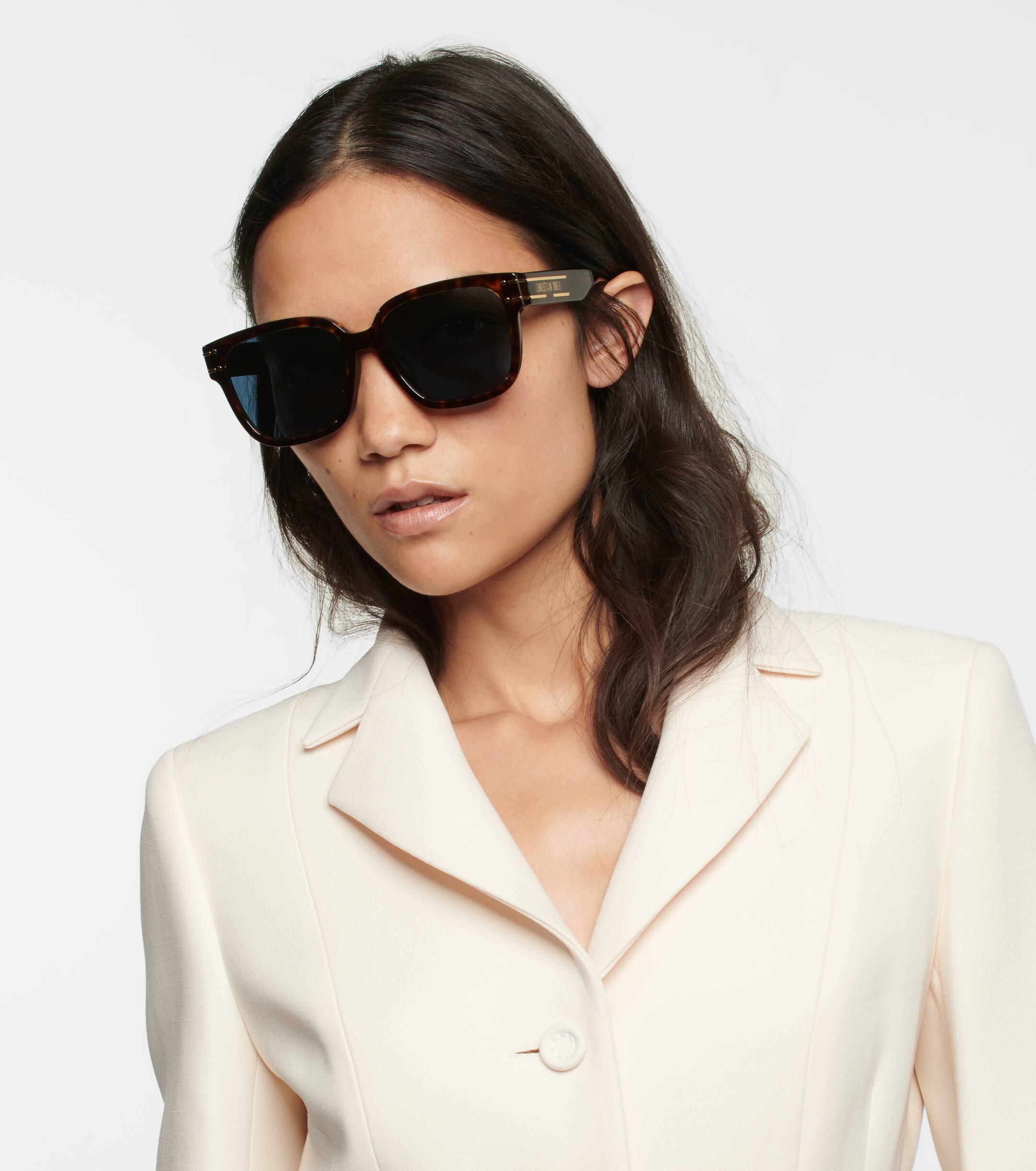 Dior signature discount sunglasses