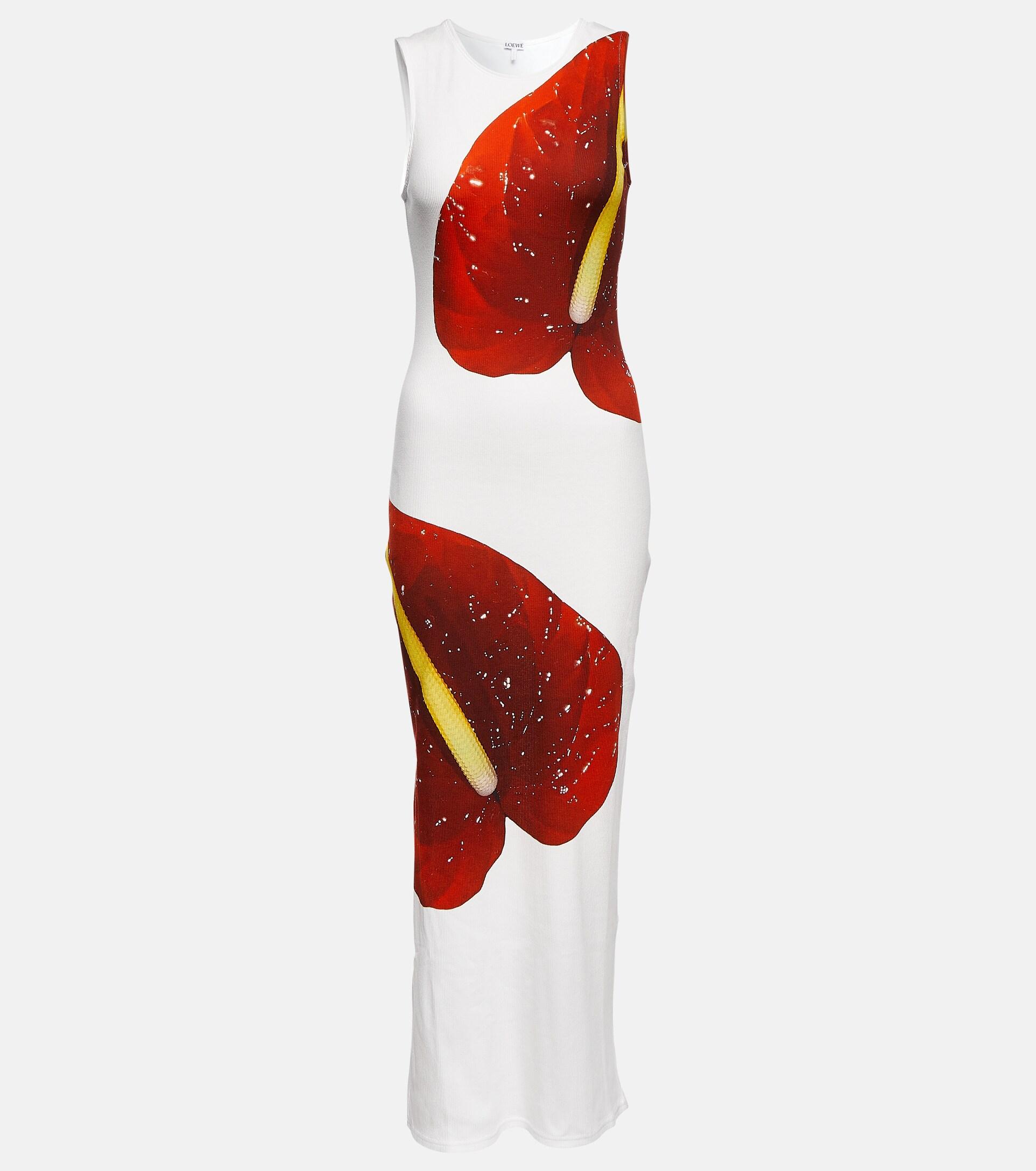 Loewe Floral Cotton-blend Tank Dress in Red
