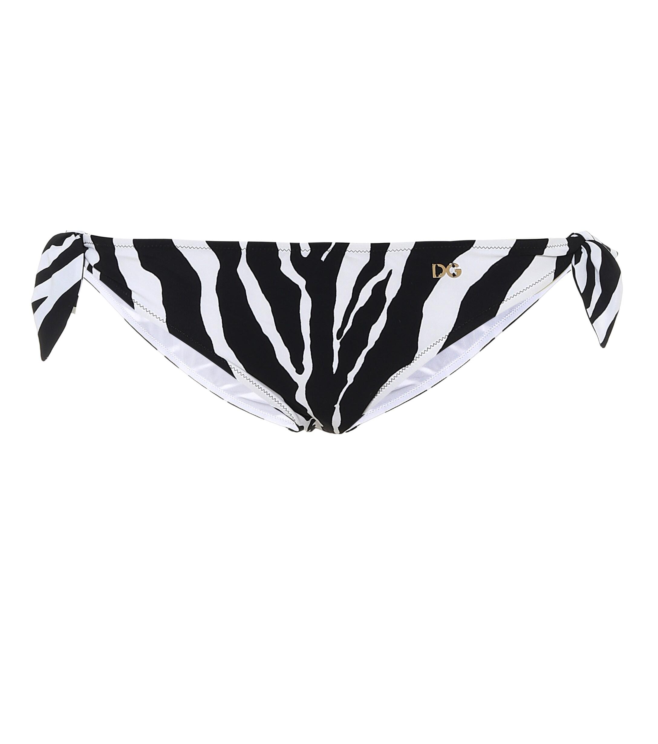 Dolce & Gabbana Zebraprint Bikini Top in Black Save 4 Lyst
