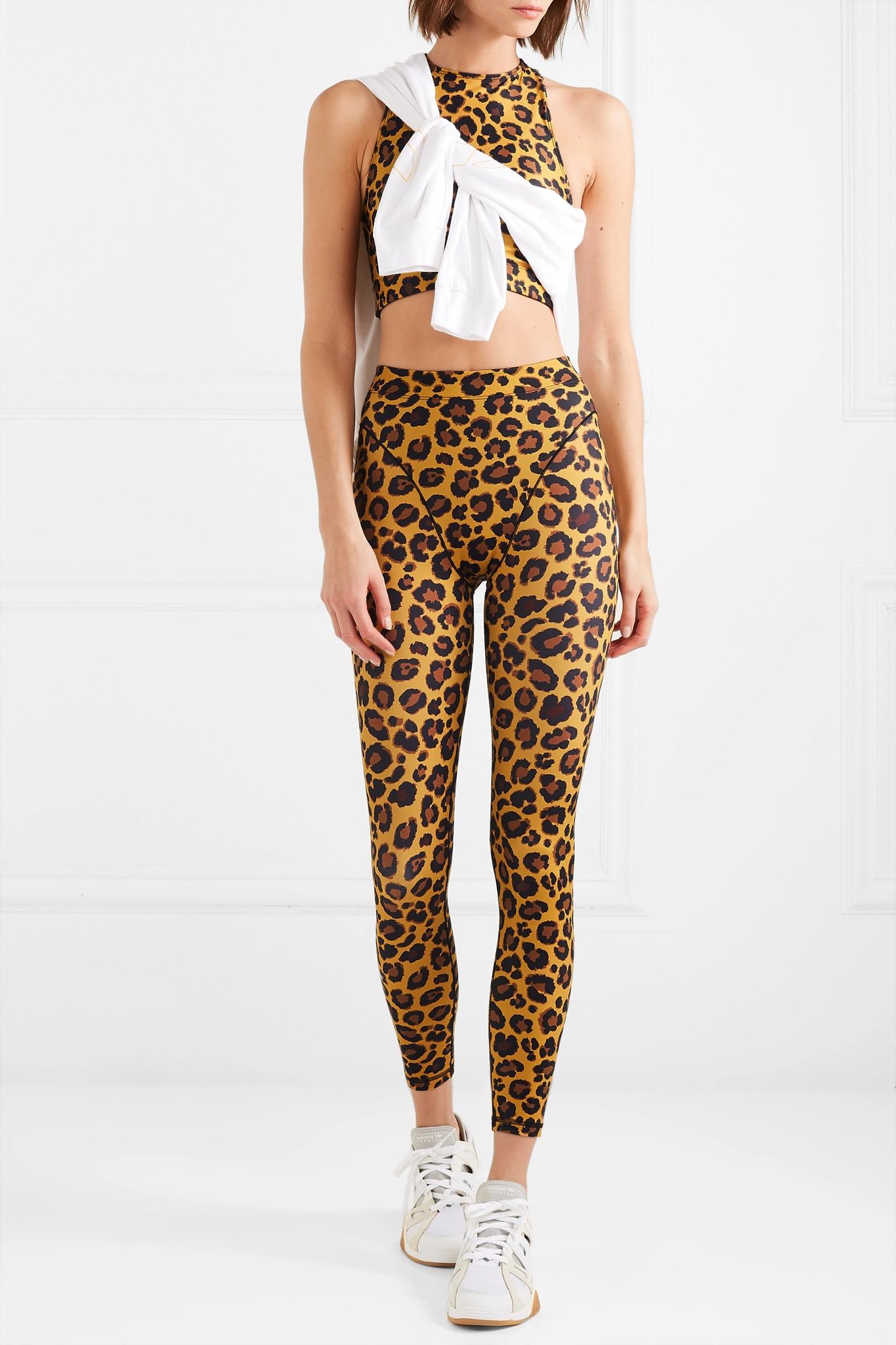Leopard Print Sports Leggings  International Society of Precision  Agriculture