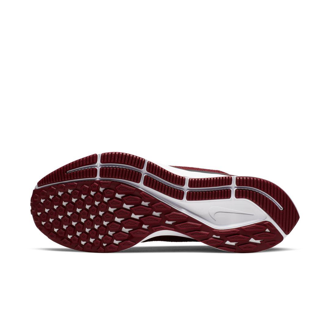 usc pegasus 36
