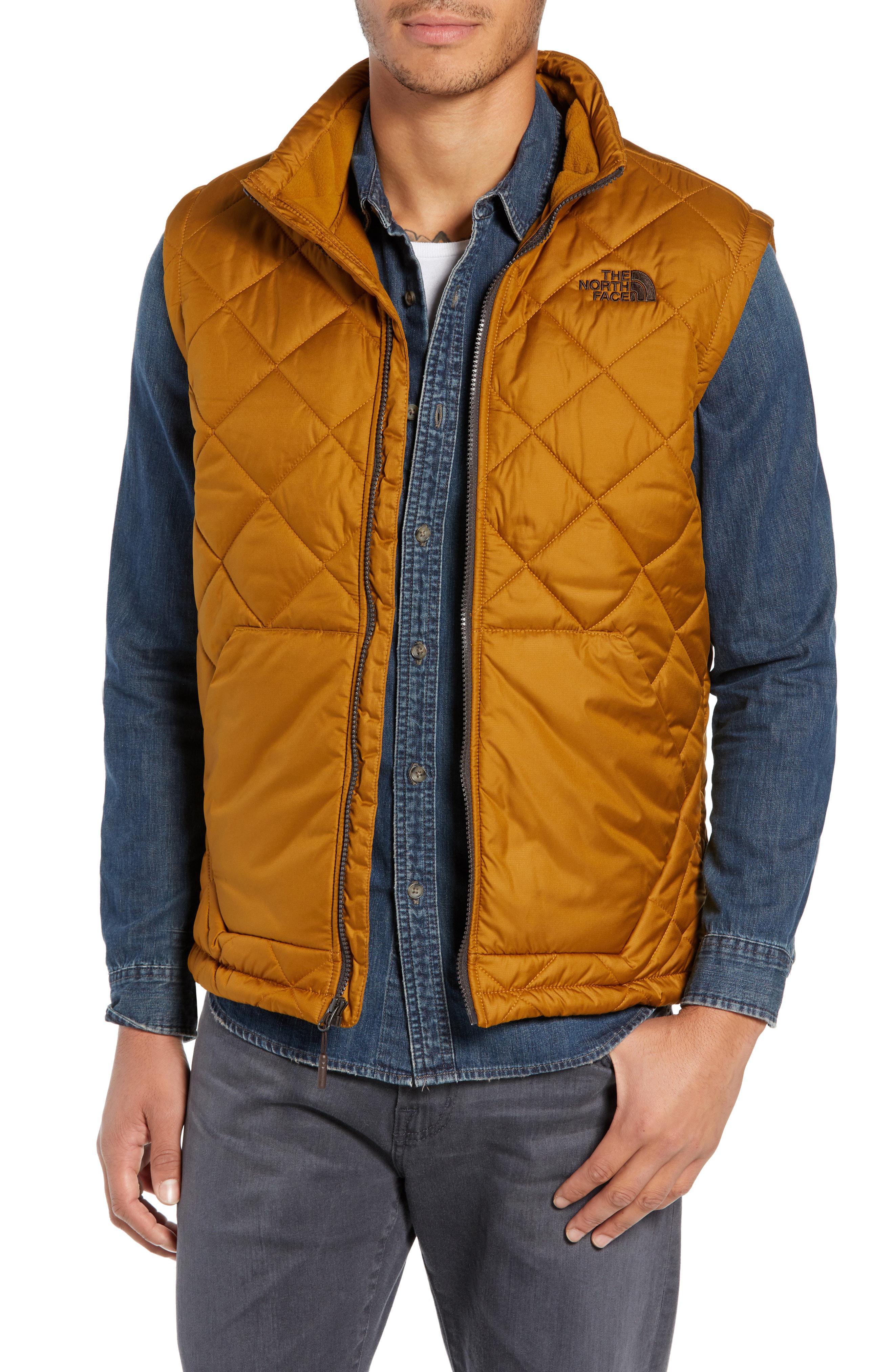 the north face men's cervas vest