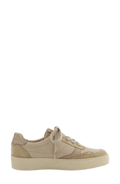 Paul Green Low-top sneakers for Women | Online Sale up to 33