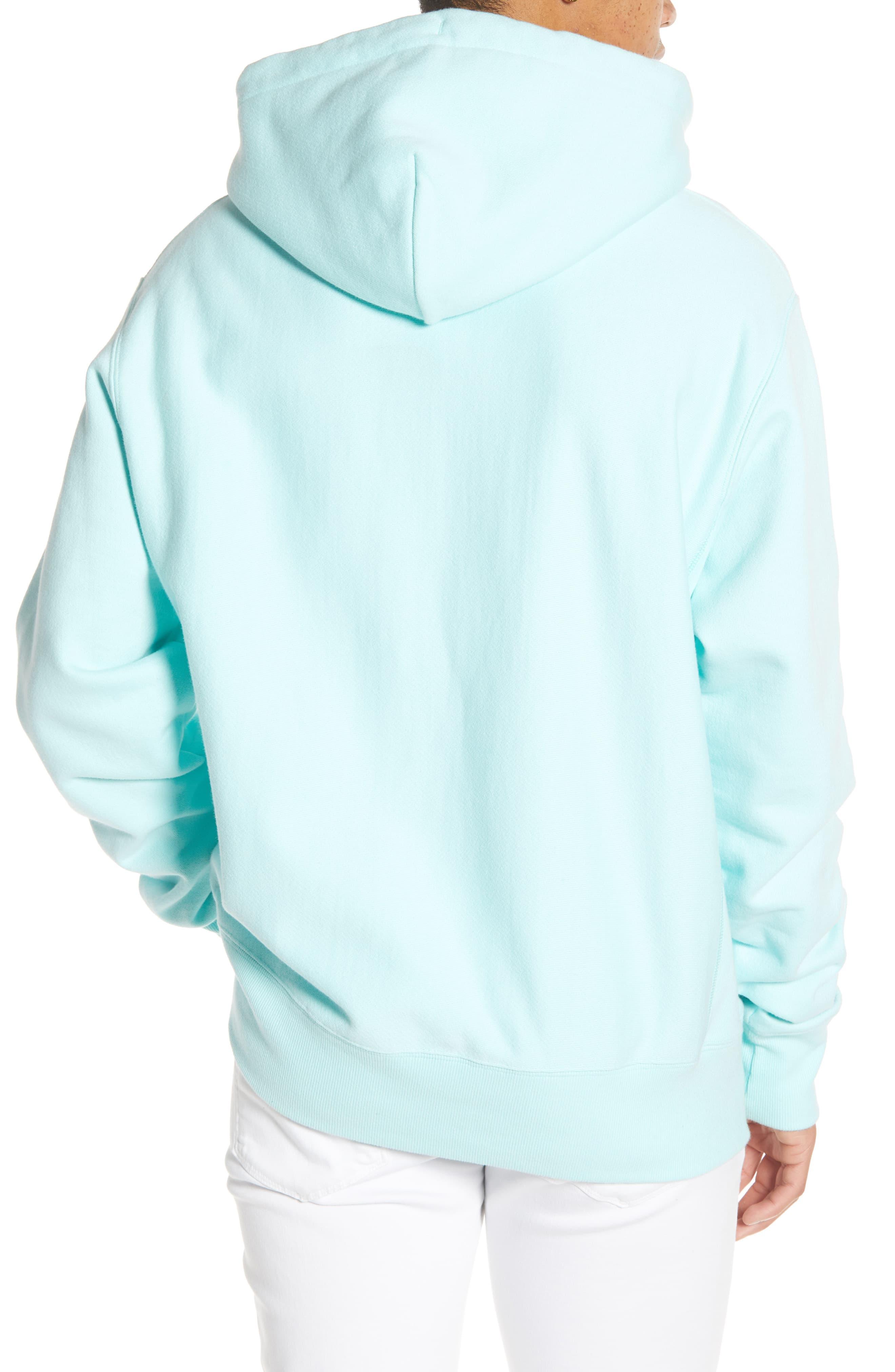 champion waterfall green hoodie