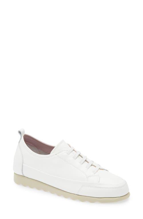スニーカー THE FLEXX Leather sneakers The Flexx Sneakers for Women | Online Sale up to 78% off | Lyst